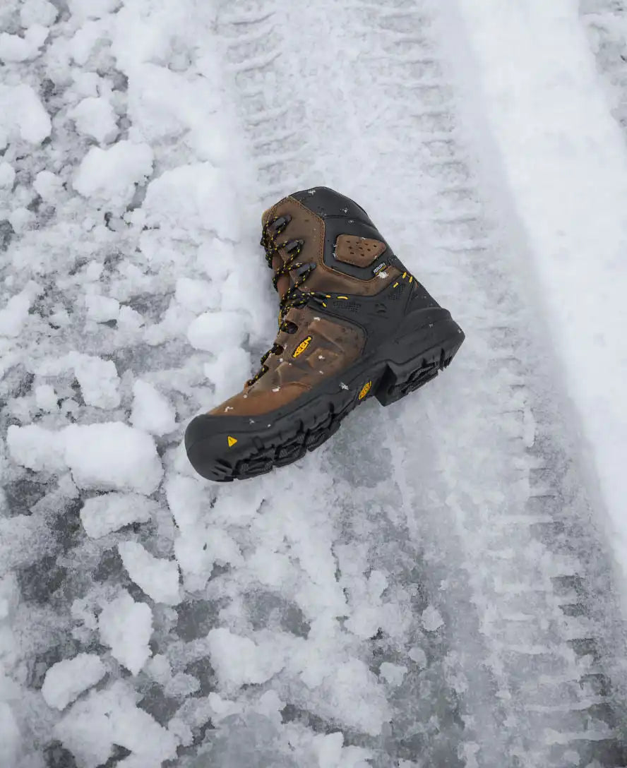 Men's Dover 8" Insulated Waterproof Boot (Carbon Toe)