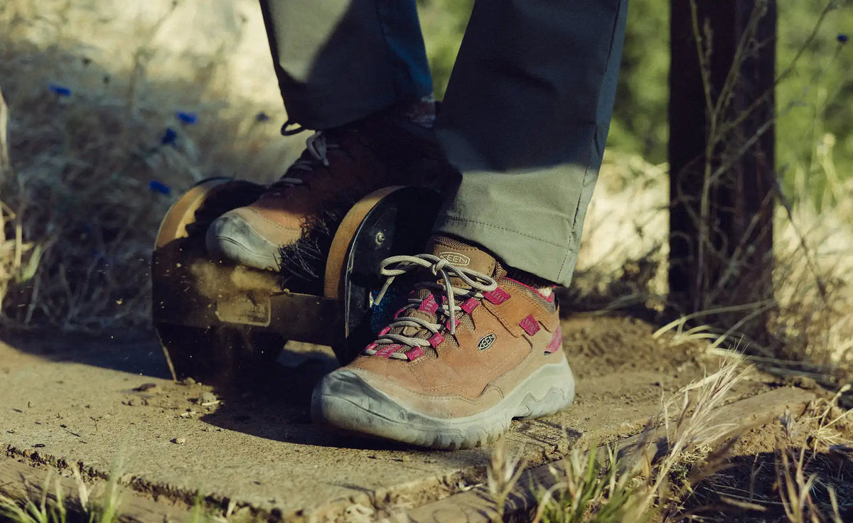 Women's Targhee IV Waterproof Hiking Shoe