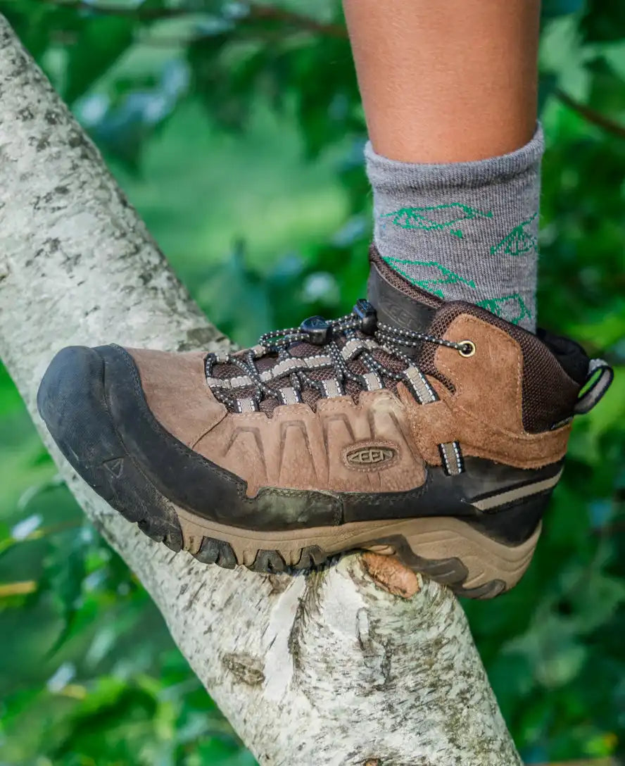 Little Kids' Targhee IV Waterproof Hiking Boot
